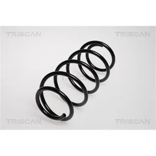 Triscan Feder vorne Opel Astra F
