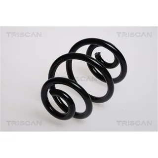 Triscan Feder hinten BMW 3er E46 87501139