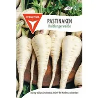 FRANKONIA Gemüsesamen Pastinaken, Halblange weiße, winterhart - Saatgut Samen, Pastinaca sativa