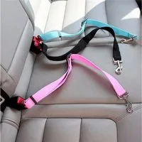 Eyecatcher Hundeleine Verstellbarer Hunde Anschnallgurt – Sicherer Autosicherheitsgurt für, Nylon (Ein Anschnallgurt mit Karabiner)