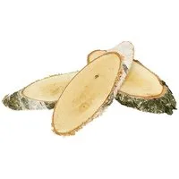Trockenblume Birkenscheiben für Gravur und Deko Holzdeko Basteln Tischdeko, 10 Stü, Florists Products, Höhe 2 cm