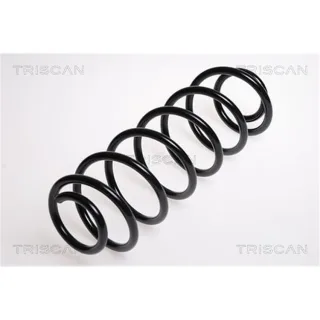 Triscan Feder hinten Ford Fiesta 5