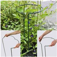Siena Garden Rankhilfe Pflanzenstütze vollrund 55 cm verstellbar