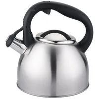 Carl Schmidt Sohn Wasserkessel 2,5 L Wasserkessel BONN Edelstahl, Ergonomisch geformter Cool-Touch-Griff