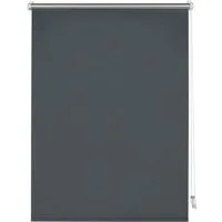 Seitenzugrollo Thermo Klemmrollo Energiesparend, GARDINIA, ohne Bohren, freihängend, Klemmfix, abdunkelnd mit Thermobeschichtung