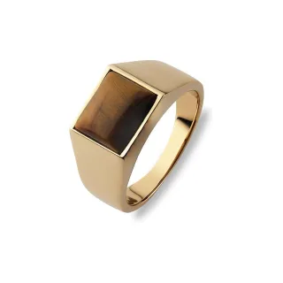 FAVS Herrenring 89219654