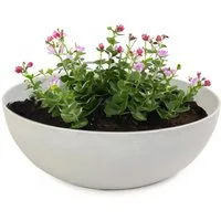 matches21 HOME & HOBBY Blumentopf Pflanzschalen für draussen Dekoschalen rund beige grau 20 cm (1 St), Blumen-Schale als wetterfeste Friedhof-Schale Grab-Schmuck Grabschale