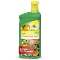 Neudorff Pflanzendünger Azet Zitrus- & MediterranpflanzenDünger, 1 Liter
