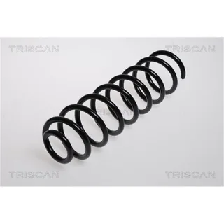 Triscan Feder hinten Renault Megane 2 87502553