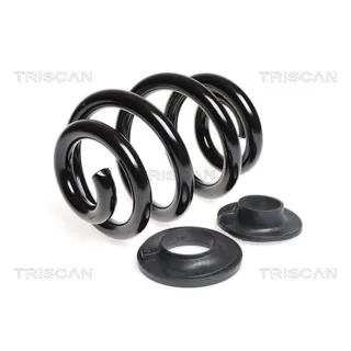 Triscan Feder hinten VW Transporter T6 875029136