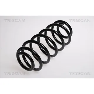 Triscan Feder hinten Toyota Yaris Verso P2 875013106