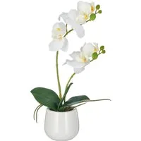 Kunstorchidee Phalaenopsis, Creativ green, Höhe 38 cm, mit Real-Touch-Blüten