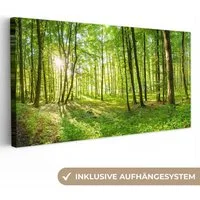 OneMillionCanvasses® Leinwandbild Panorama Natur - Bäume - Wald - Grün - Sonnenlicht, Fotodruck (1 St), Wandbild, Deko Schlafzimmer Wohnzimmer Flur 40x20 cm