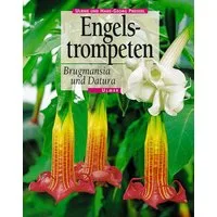 Engelstrompeten. Brugmansia und Datura / Hans Georg u. Ulrike Preissel