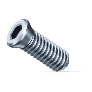 Fein Klemmschraube SX, 10-Stück - 31350076000