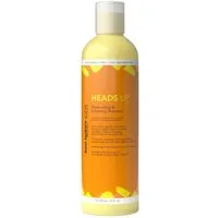 Aunt Jackie's Haarshampoo Aunt Jackie's Kids HEADS UP Moisturizing Softening Shampoo 355ml