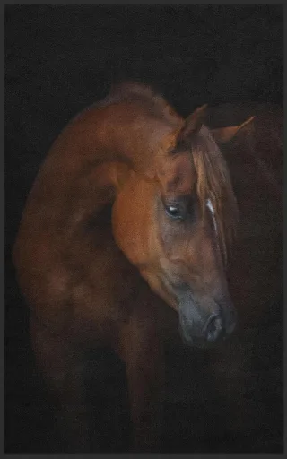 Fussmatte Pferd 7288 | Größe: 140 cm x 180 cm