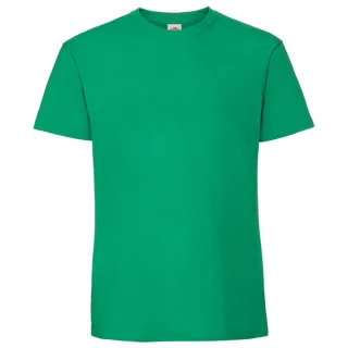 Fruit of the Loom Unisex-Erwachsene Iconic 195 T-Shirt (Irisches Grün)