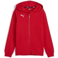 PUMA Hoodie teamGOAL Casuals Hooded Jacket Jr
