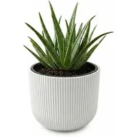 Prosperplast Blumentopf Milly, inkl. Pflanzeinsatz, 34,9 x 29 cm