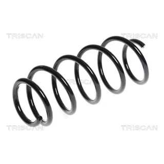 Triscan Feder vorne Citroen Nemo Fiat Qubo Peugeot Bipper