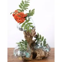 Guru-Shop Dekovase Exotische Wurzelholz Vase mit drei Gläsern - 3..