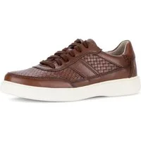 Pius Gabor Sneaker, Freizeitschuh, Halbschuh, Schnürschuh im Used Look, Weite G