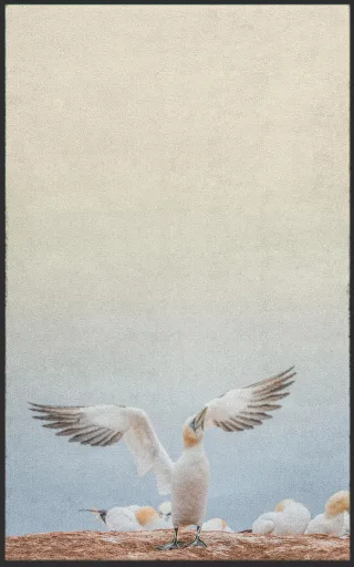 Fussmatte 7094 | Größe: 60 cm x 90 cm