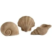 Next Dekoobjekt Set aus 3 Muschel-Ornamenten im Rattan-Look