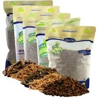 Lyra Pet 5 x 1 kg Lyra Pet® Insekten Probier Mix getrocknet, für: Reptilien, Nager, Haus- und Nutztier, Wildvogel, Fisch