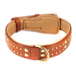 Hundehalsband aus Leder mit Nieten