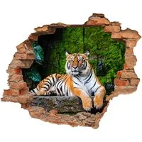 WallSpirit Wandtattoo Wanddurchbruch "Tiger", Selbstklebend, rückstandslos abziehbar