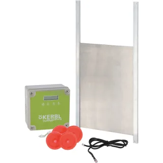 Kerbl Automatische Hühnertür mit Schiebetür 300x400mm - 70546
