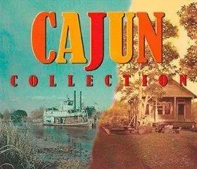 Cajun Collection - Michael Doucet [Audio-CD]