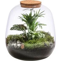 Dehner Zimmerpflanze Terrarium DIY Flaschengarten Mini-Urwald, 8-teilig, 1x Mosaikpflanze, 1x Marante, 1x Bergpalme, inkl. Deko