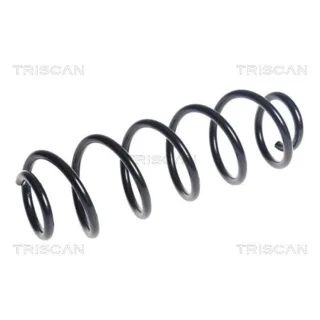 Triscan Feder hinten Seat Leon Suzuki Ignis