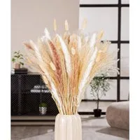 GILDE Dekoobjekt Bündel Trockenblume Seco naturfarben H. 53 cm (1 St)
