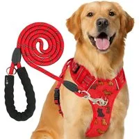 Reichstadt Hunde-Geschirr RS Pets Hundegeschirr & Leinen Set 25RSP083-4, Polyester, atmungsaktives Netzgewebe und robuster Oxford-Stoff