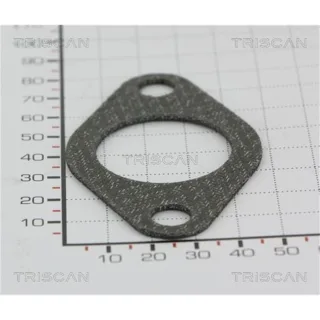 Triscan Dichtung f?r Agr-Ventil VW/Audi