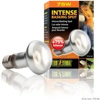 Exo Terra Terrarienleuchte Intense Basking Spot - Tageslichtlampe