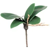 Kunstorchidee Künstliches Orchideenlaub. 15-18cm, 5 Orchideenblätter mit Luftwurzeln, Gasper, Höhe 18.00 cm