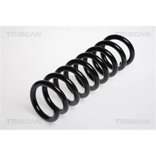 Triscan Feder hinten Mercedes C-Klasse Clc-Klasse E-Klasse Slk
