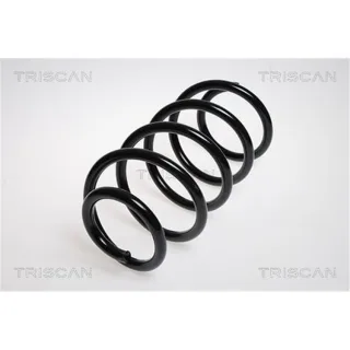 Triscan Feder vorne VW Transporter T6 875029153