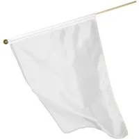 elasto Flagge Fahne "Wood" weiß