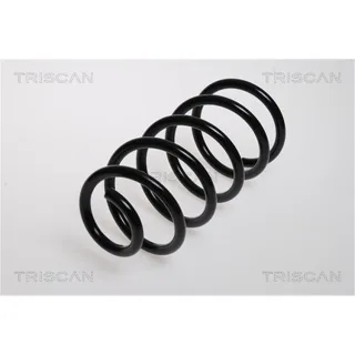 Triscan Feder hinten Fiat Punto 188 87501581