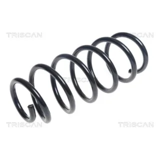 Triscan Feder vorne Chevrolet Trax Opel Mokka 875024198