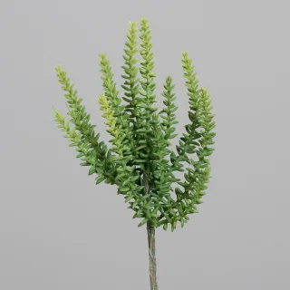 29 cm