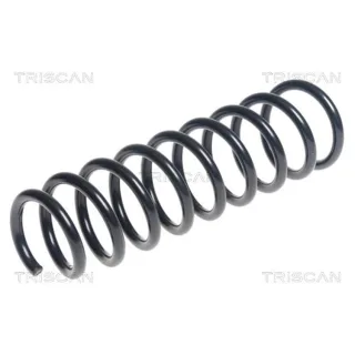Triscan Feder hinten Hyundai I30 Kia Ceed Pro 875043125