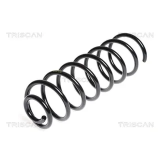 Triscan Feder hinten VW Golf 3 Vento