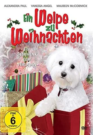 Ein Welpe zu Weihnachten